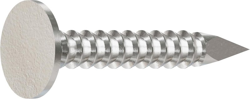 Simpson StrongTie Simpson Strong Tie T210ARN1 2D Roofing Tile and Slating Nails 1-Inch and 10-Gauge, Ring Shank 316 Stainless Steel, 1-Pound, 212 Nails - Image 2